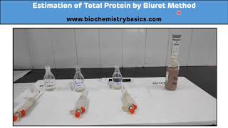 Estimation of Total Protein by Biuret Method  Total Protein Estimation  Biochemistry Practical [upl. by Grosz]