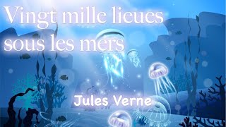 Vingt mille lieues sous les mers Partie 1 Chapitre 22 [upl. by Hallimaj]