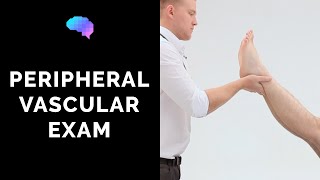 Peripheral Vascular Examination  OSCE Guide Latest  UKMLA  CPSA [upl. by Ogait]