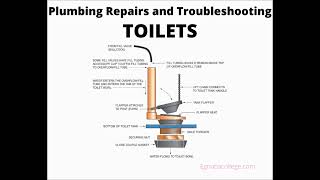 Egnatia College  Toilet Repairs and Troubleshooting Video 8 [upl. by Clintock]