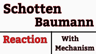 Schotten Baumann Reaction with Mechanism in Hindi [upl. by Mischa411]