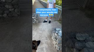 Heureusement ces jambes de coq lui servent pour courir 😭 malinois chien redog harnaischien [upl. by Wardieu]