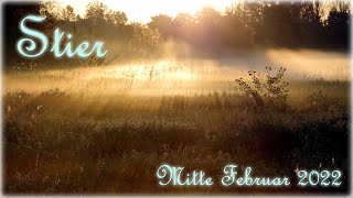 ♉ Stier  Mitte Februar 2022 ♉  Deine Meinung meine Meinung [upl. by Inverson366]