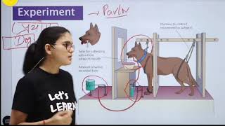 Pavlovs Classical Conditioning Theoryबाल विकास।। Explained by himanshi singh [upl. by Demetria462]