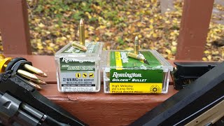 Golden Bullet Remington Golden Bullet 22 LR vs Remington 22 Mag Ballistic Gel Test [upl. by Metcalf786]