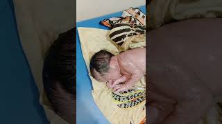 Vernix Cleaning of new baby Born With Liquid Parafin Oil Good Cleaning [upl. by Esilehc46]