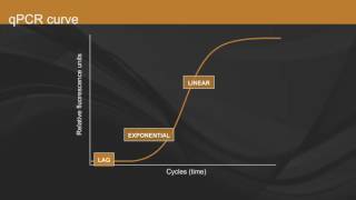 Overview of qPCR [upl. by Maddy]