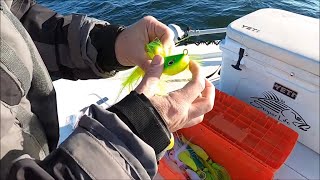 Striper fishing with Mojo Rigs QUICK LOOK How to set up your Striper rigs [upl. by Jennifer]