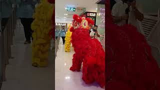 livestream pf changs new Restro noidanews opened in DLF dragon dance [upl. by Nama]