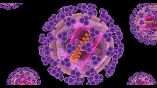 Mathematical Modeling of CTLs Dynamics in HIV Antiretro Viral Therapy Interms of LotkaVolterra [upl. by Alletsirhc142]