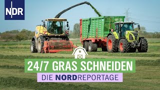 Schwaden häckseln und einfahren Trecker im Dauereinsatz  Die Nordreportage  NDR [upl. by Egiaf]