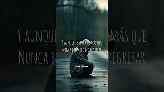 Boza  Odiarte letralyrics boza reggaeton odiarte paradedicar viralvideo viralshorts [upl. by Nylatsyrc]