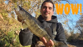 CATCHING BIG FALL FISH FALL FISHING [upl. by Dita]