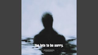 too late to be sorry [upl. by Hairem]