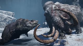 Hunt Legendary Bloodtusk Mammoth With All Beasts  Far Cry Primal 4K 60 FPS Max Settings [upl. by Annaitsirk143]