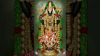 Sri venkayeswara swamy🙏🙏govinda govinda🙏🙏govinda trending Tirimala 🙏🙏 [upl. by Timothea561]