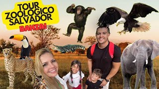 Tour completo pelo zoológico de Salvador [upl. by Line112]