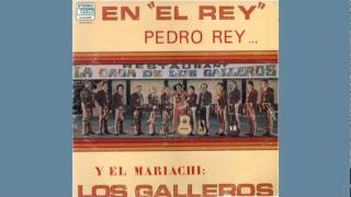 Mariachi Los Galleros de Pedro Rey Grande Grande Grande [upl. by Kartis984]