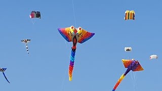 Festival der Riesendrachen auf dem Tempelhofer Feld in Berlin [upl. by Leruj605]