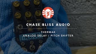 Chase Bliss Audio Thermae  Analog Delay and Pitch Shifter  Vintage King [upl. by Fielding]