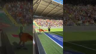 Hullcity vs QPR goal highlights What a magnificent goal for Hullcity shorts football goals fyp [upl. by Armalla]