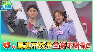 腸道不乾淨 全身不對勁！【醫學大聯盟】20240129 [upl. by Chaddy]