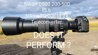 NIKON D500 200500 f56 PLUS 2X TELECONVERTER REVIEW WITH SAMPLE PHOTOS [upl. by Alten]