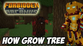 Minecraft Forbidden and Arcanus HOW TO GROW EDELWOOD FULL GUIDE 2024 [upl. by Smoot]