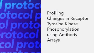 Profiling Changes in Receptor Tyrosine Kinase Phosphorylation using Antibody Arrays [upl. by Linders29]