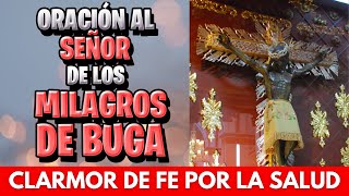 🔴 CLAMOR POR LA SALUD al SEÑOR de los MILAGROS de BUGA [upl. by Sanfred502]