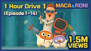 MACAampRONI 1Hour Drive 1 Episode 114  Macaandroni Channel [upl. by Adiam]