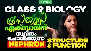 Class 9 Biology  Nephron Structure and Function  Xylem Class 9 [upl. by Atiuqrahs]