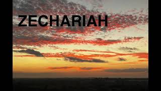 ZECHARIAH SONG  THE BRANCH [upl. by Ecnarual]