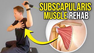 5 Exercises for the Subscapularis Muscle Rotator Cuff Rehab [upl. by Nayk]