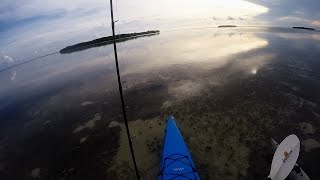 Key West Kayak Flats Fishing  An Evening On The Flats [upl. by Thynne]