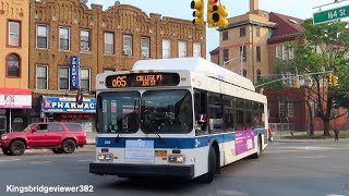 MTA Bus Company 2011 New Flyer C40LF CNG 226 on the Q65 Bus [upl. by Adnohsak]