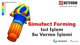 NETFORM  Simufact Forming Eğitimi  Isıl İşlem Su Verme Modeli Oluşturma Faz Dönüşümü [upl. by Nurse670]