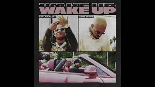 Skylar Blatt Wake Up Ft Chris Brown Clean [upl. by Einaj915]