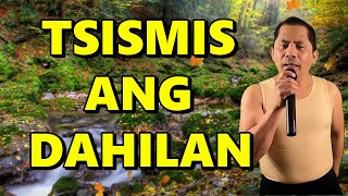 TSISMIS ANG DAHILAN Parody of Ikaw Ang Dahilan  Alexander Barut [upl. by Siuqramed]