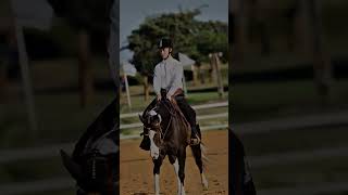 Such A Beautiful Horse 💎 Video Credits shoshanahorsemedia [upl. by Yzus]