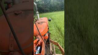 AllisChalmers B mowing with sickle bar [upl. by Elicec]