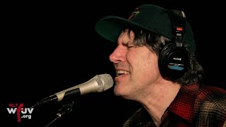 Gruff Rhys  quotI Tendered My Resignationquot Live at WFUV [upl. by Leirud982]