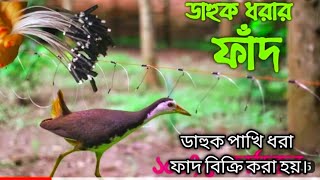 ডাহুক পাখি ।বগ পাখি। কোড়া পাখি।অতিথি পাখি শিকার করা সহজ চায়না জাংগী ফাদ। [upl. by Elish]