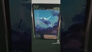 SCP1608 is a Balaenoptera musculus or blue whale scpfundation scp mrcartoon cards scptcg [upl. by Valoniah]