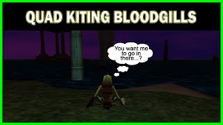 Quad Kiting Bloodgills  EverQuest  Project 1999 Green Druid  Part 30 [upl. by Thurlow]