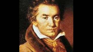 Ludwig van Beethoven Symphony No 7  Allegro con Brio [upl. by Ardenia]