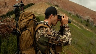 BATTLE OF THE BINOCULARS 10X42 VERSUS 12X50 ARGALI FIELD NOTES [upl. by Arahat353]