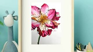 Timelapse drawing Delicate pink flower in watercolor painting art creation tuturial [upl. by Anicnarf]