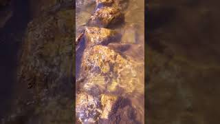 Rocky Track in Water youtubeshorts shorts [upl. by Oigaib873]