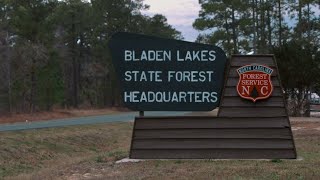 The Arbor Day Foundation and TeamTrees Planting Bladen Lakes State Forest [upl. by Ekusoyr]